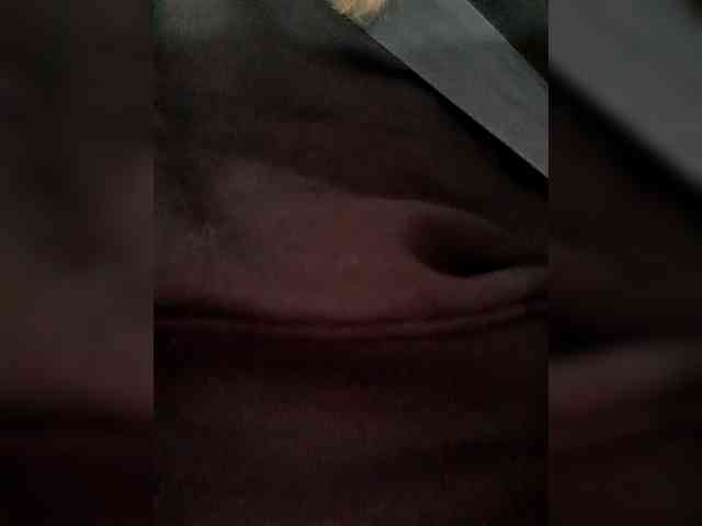 _LittleSammy