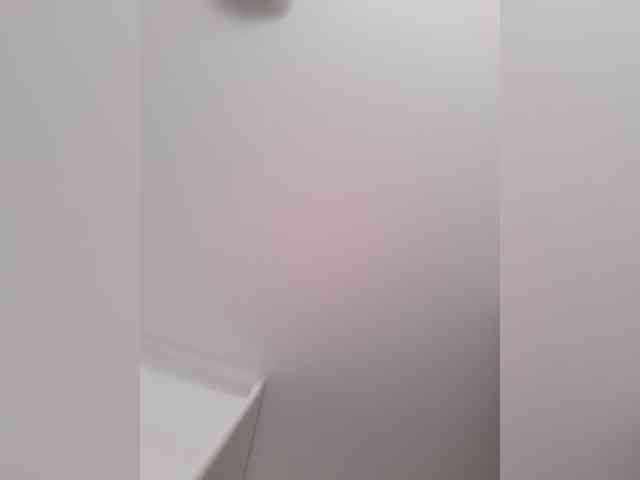 _LittleSammy webcam