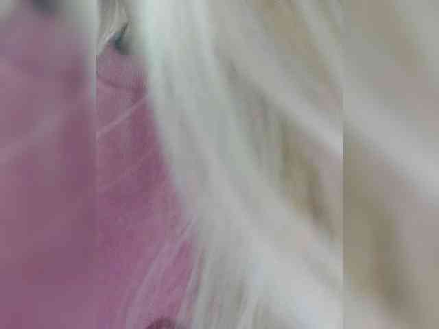 _LittleSammy webcam