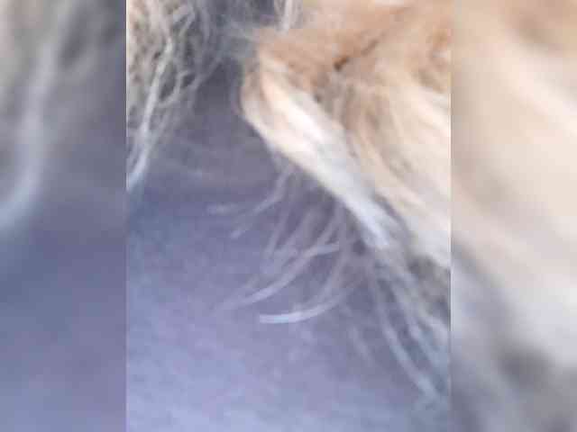 _LittleSammy