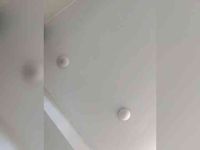 _LittleSammy