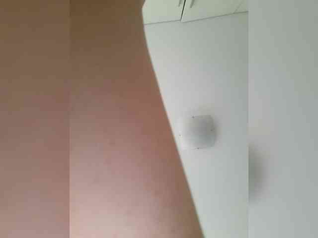 _LittleSammy webcam