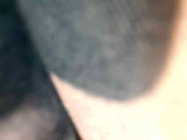 _LittleSammy