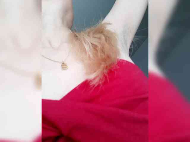 _LittleSammy webcam