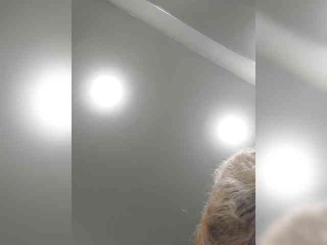 _LittleSammy webcam