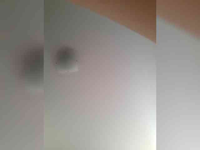 _LittleSammy