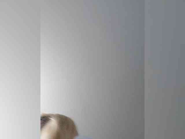 _LittleSammy webcam