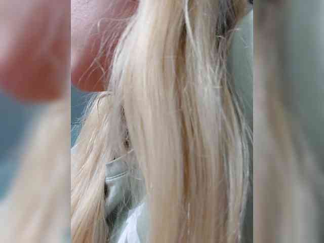 _LittleSammy webcam