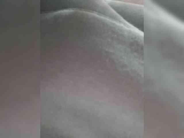 _LittleSammy webcam