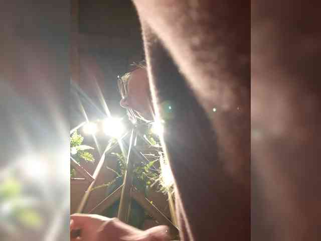 _LittleSammy webcam