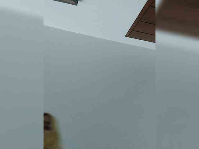 _LittleSammy webcam