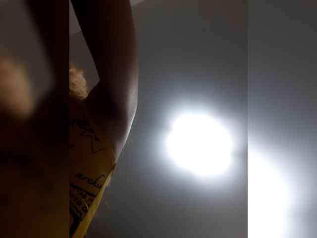 _LittleSammy