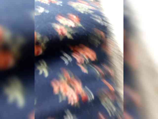 _LittleSammy webcam