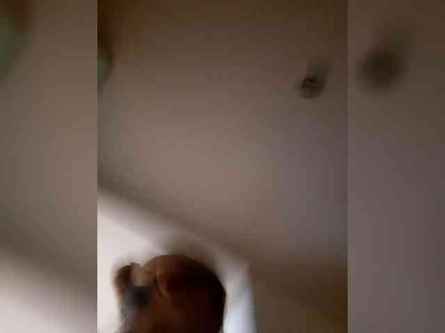 _LittleSammy