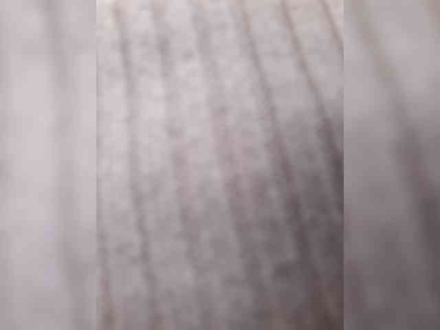 _LittleSammy webcam