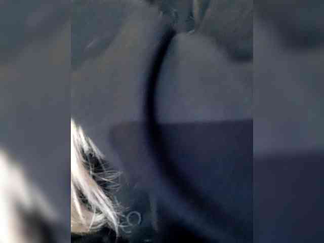 _LittleSammy