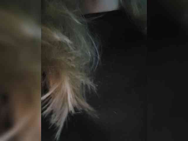 _LittleSammy webcam