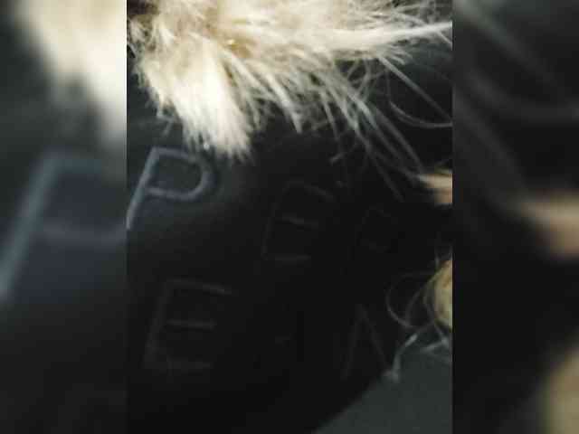 _LittleSammy webcam