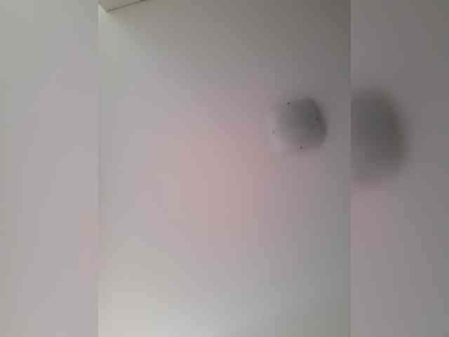 _LittleSammy webcam