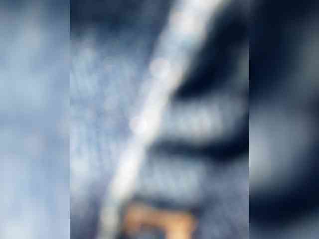_LittleSammy webcam