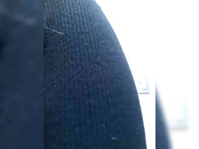 _LittleSammy webcam