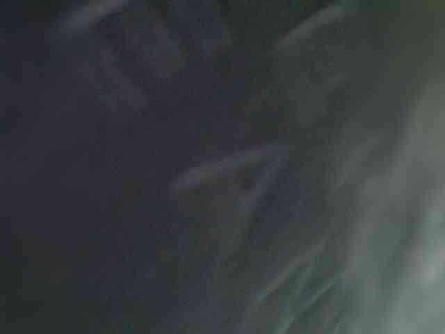 _LittleSammy webcam
