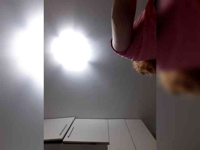 _LittleSammy