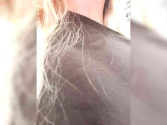 _LittleSammy