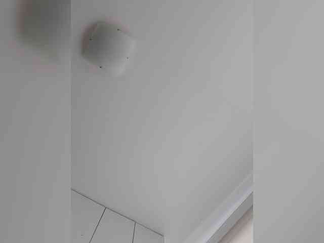 _LittleSammy webcam