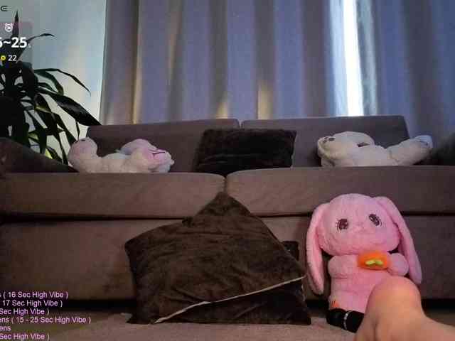 _LittleSammy webcam