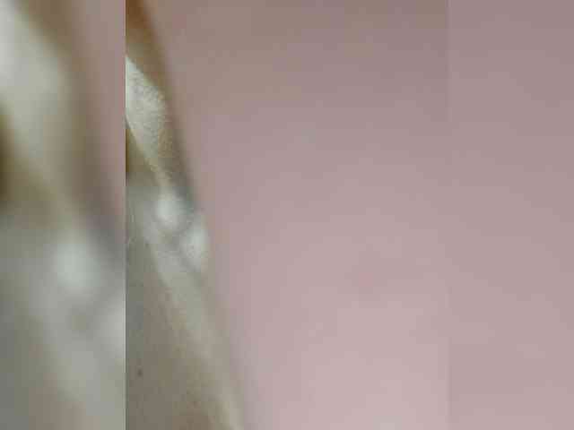 _LittleSammy webcam