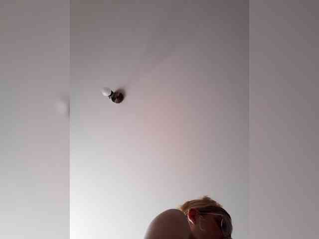 _LittleSammy
