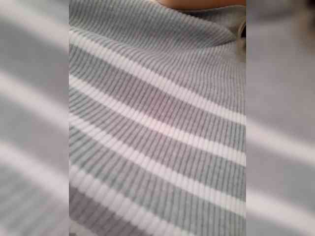 _LittleSammy webcam