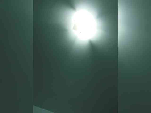 _LittleSammy webcam