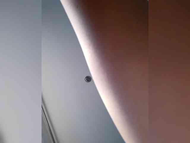 _LittleSammy