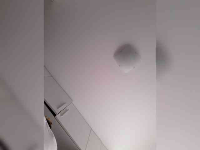 _LittleSammy webcam