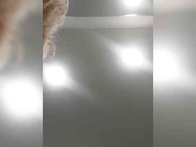 _LittleSammy