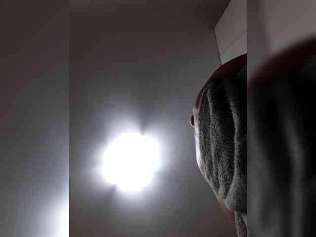 _LittleSammy