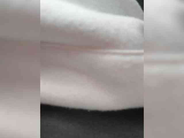 _LittleSammy webcam
