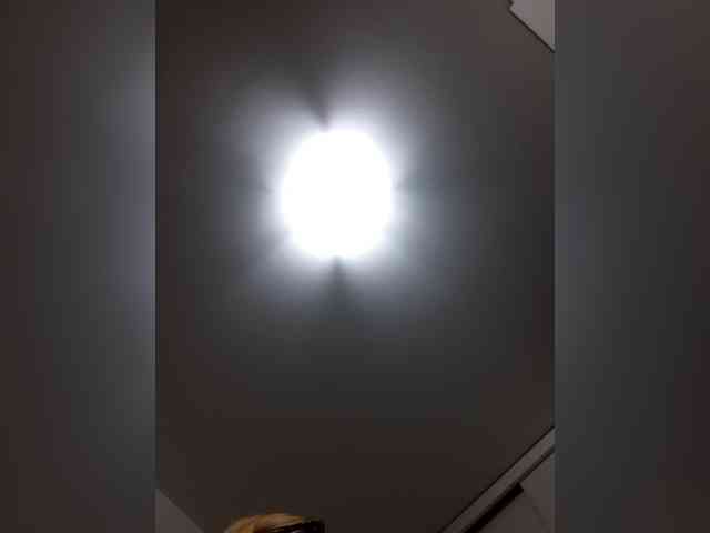 _LittleSammy