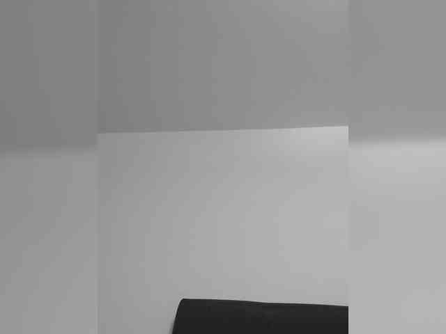 _LittleSammy webcam