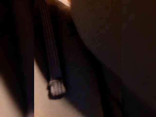 _LittleSammy webcam
