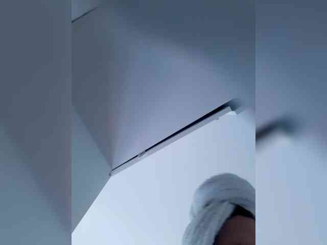 _LittleSammy webcam