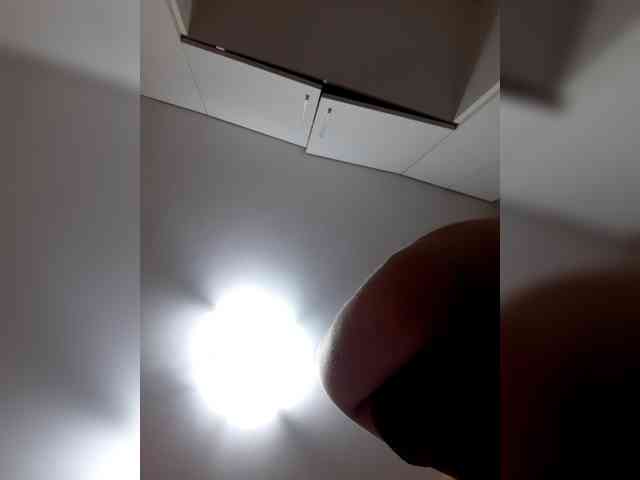 _LittleSammy webcam