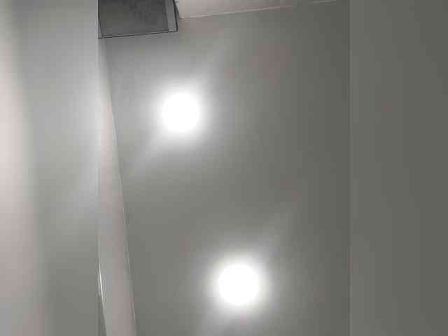 _LittleSammy webcam
