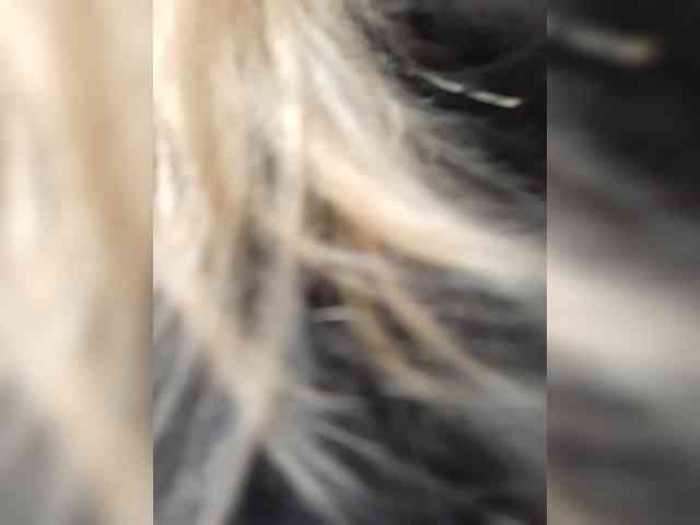 _LittleSammy