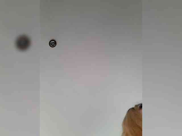 _LittleSammy