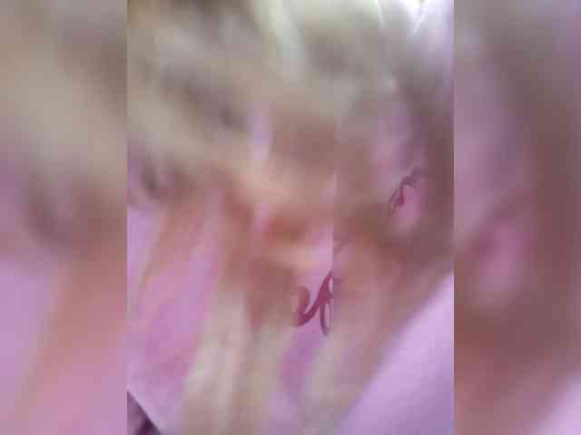 _LittleSammy webcam