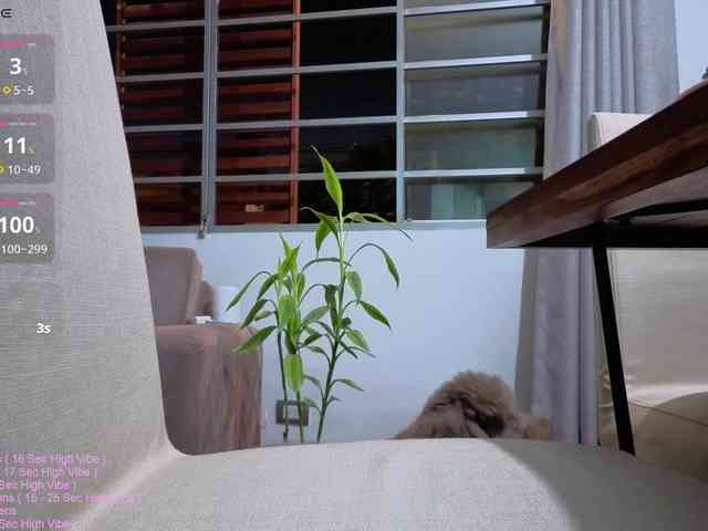 _LittleSammy webcam
