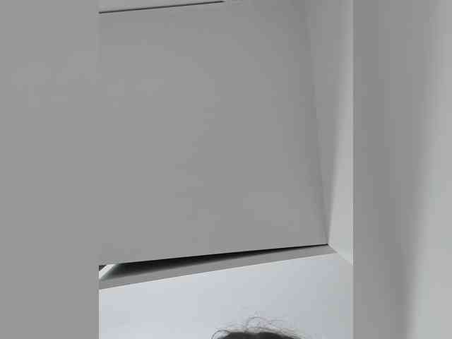 _LittleSammy webcam
